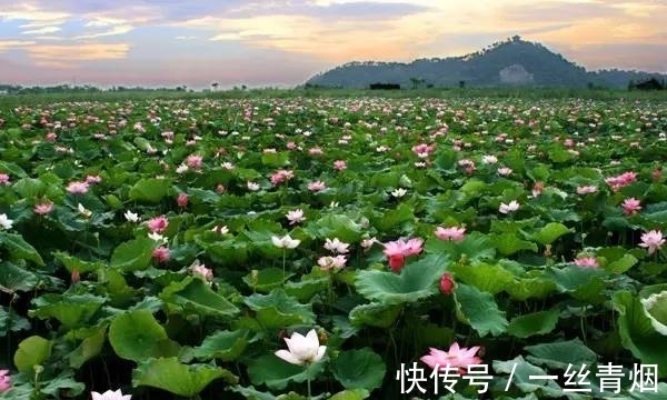 悟道诗！很多流传下来的著名诗词都不知道作者是谁，10大佚名诗篇排行榜