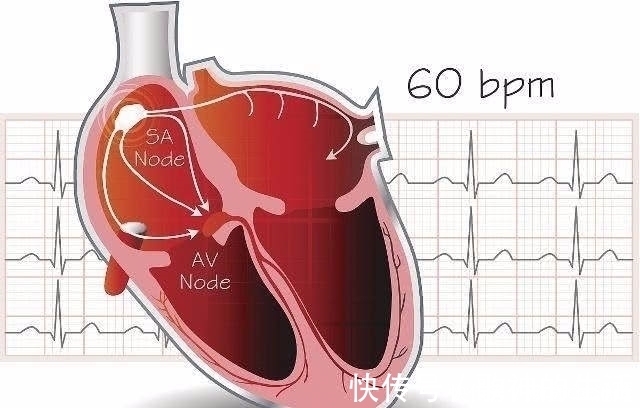 心脏|心脏有问题的人,睡觉时一般会出现4个情况,一个也别忽视