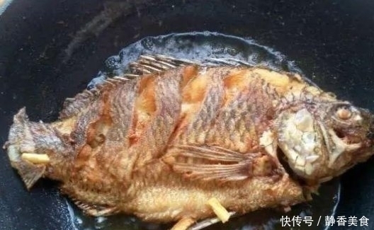 炖鱼汤|不管炖什么鱼, 最忌讳放“这2种”调料, 不然鱼汤有腥味, 超难喝!