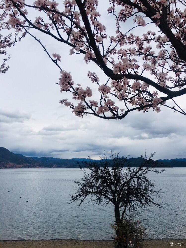 一个有故事的地方，开启徒步玉龙雪山环游泸沽湖之旅|丽江 | 古镇