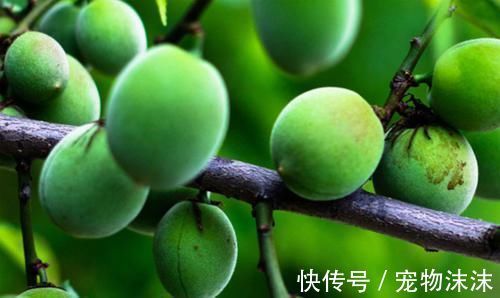 膳食纤维|冬天女性多吃“3种食物”,排毒养血,滋阴润燥,呵护子宫和卵巢