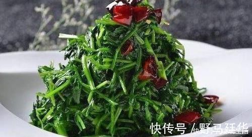 食物|想长寿全靠吃,以下食物不可少,提高免疫力,身体棒棒哒!