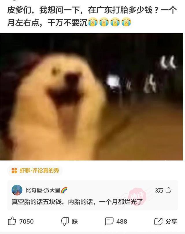 |神评段子合集：照片上有个熊猫就算了，居然还有个上发条的