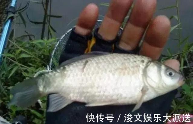 一辈子|钓鱼悟到的几个道理，如果没钓鱼，或许一辈子都不能明白