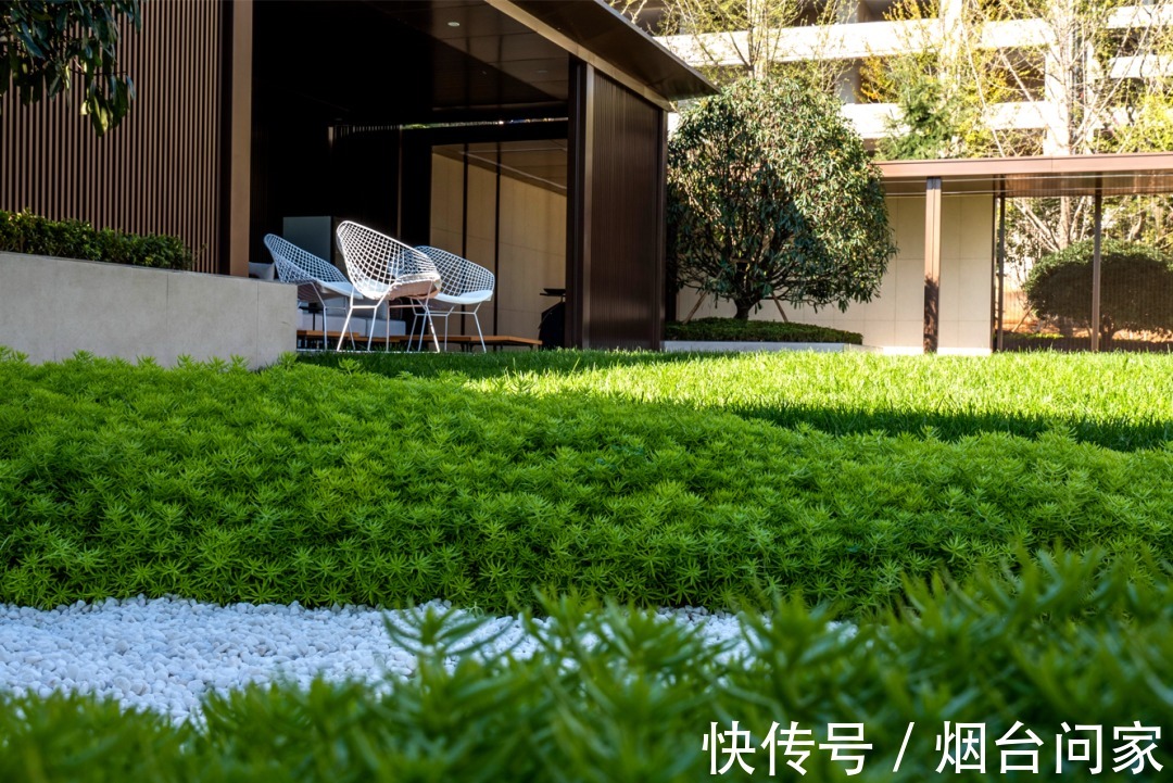 绿城|反内卷,烟台地产市场新变局