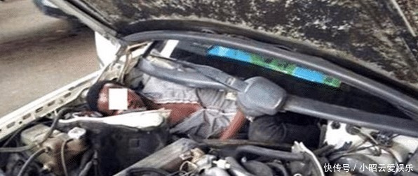 跪服|史上“尿性”的偷渡者：第一个就跪服了，都在用生命偷渡啊！