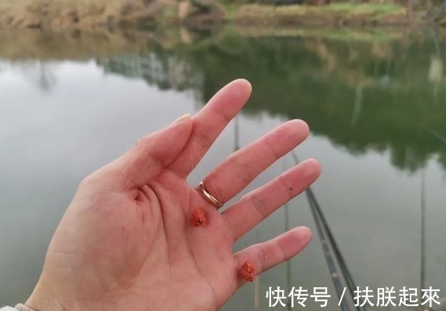 雾化|野钓不打窝的2种高效钓法,学会后上鱼总是快人一步