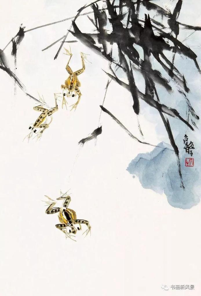  张辛稼|一鸟一虫一世界，真美！