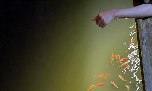 跑男團|跑男九如山之行：蔡徐坤帶火木屋別墅木桶房，泥潭大戰(zhàn)代入感好強