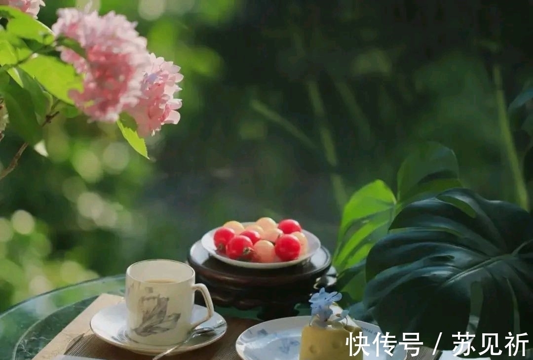 林叟@12首描述岁月静好的诗词!从如画美景到隐居之乐,你最喜欢哪首?