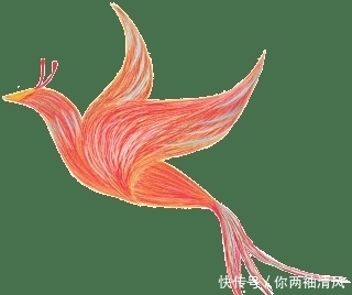 周末社科讲堂丨宋人结婚排场有多大?带你见识宋朝的婚俗