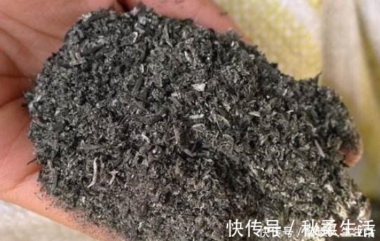 百科|工地上的这“2物”，是养花的宝贝，随手捡点回家，营养土不用买！