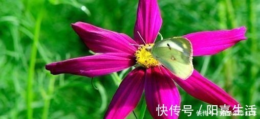 出息|孩子出生在几点钟,孝心十足,日后必定是有用之才,光宗耀祖