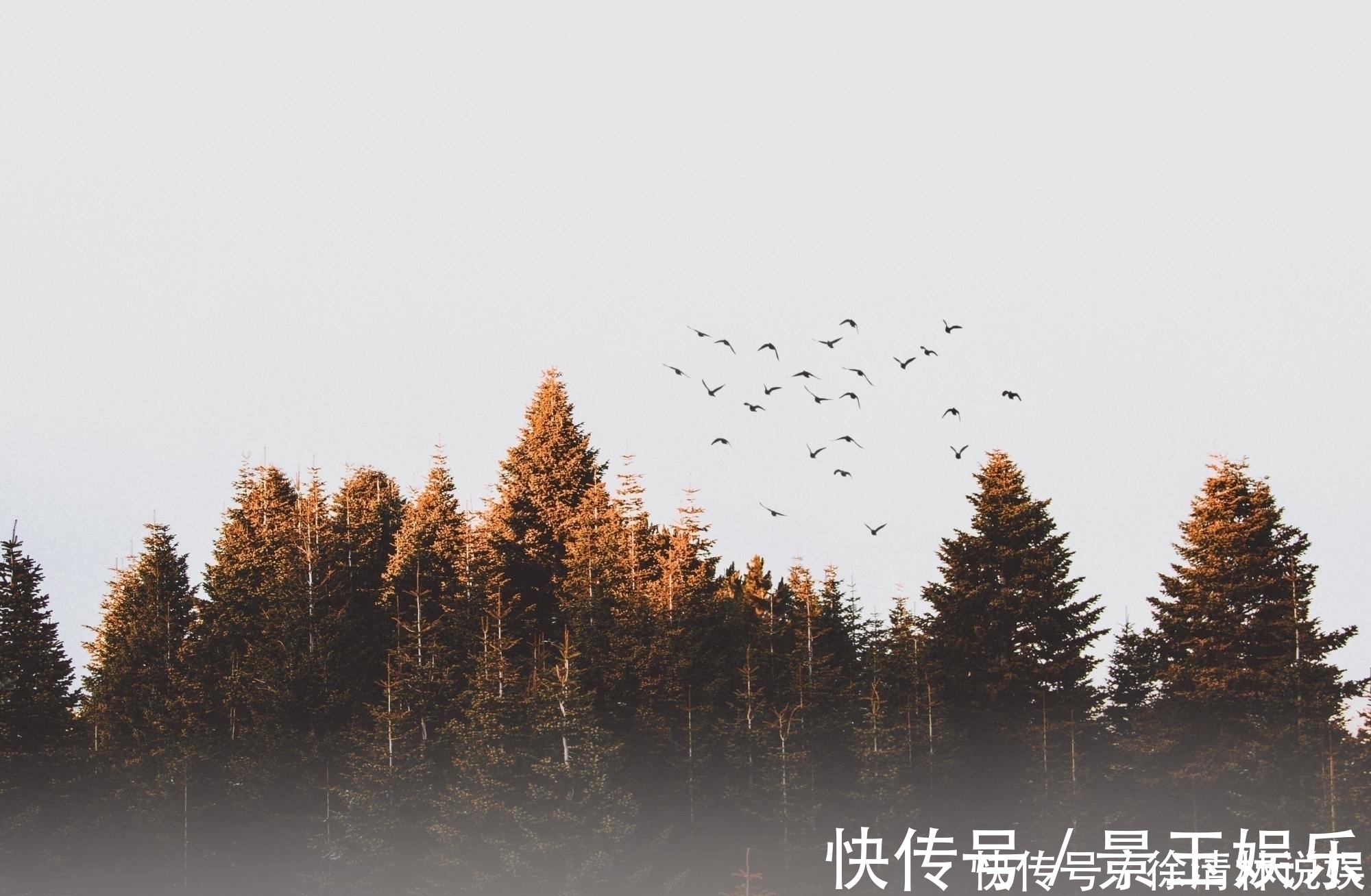 诗歌!李商隐很经典的一首《无题》,最后14字惆怅朦胧,值得一读