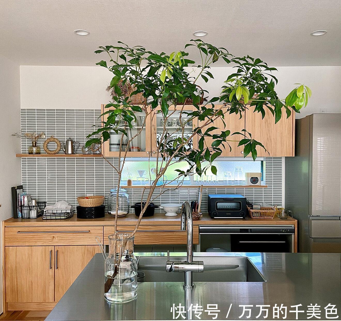 厨房|日本主妇厨房为什么干净整洁？为你总结了3个秘诀很实用