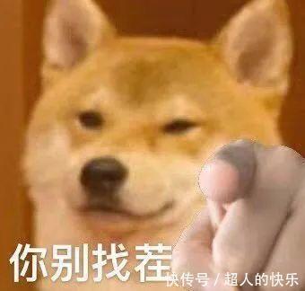 沙雕|表情包丨沙雕聊天表情包