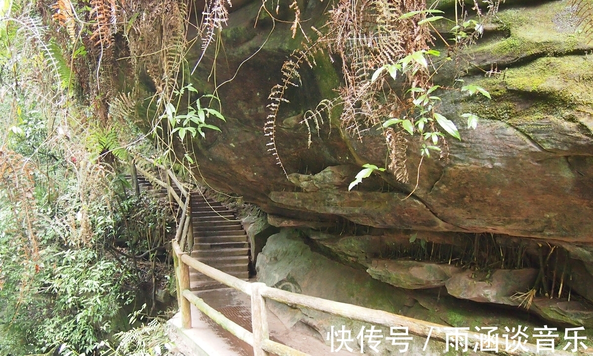 游客|四川一处休闲度假的胜地，是国家AAAAA级旅游景区