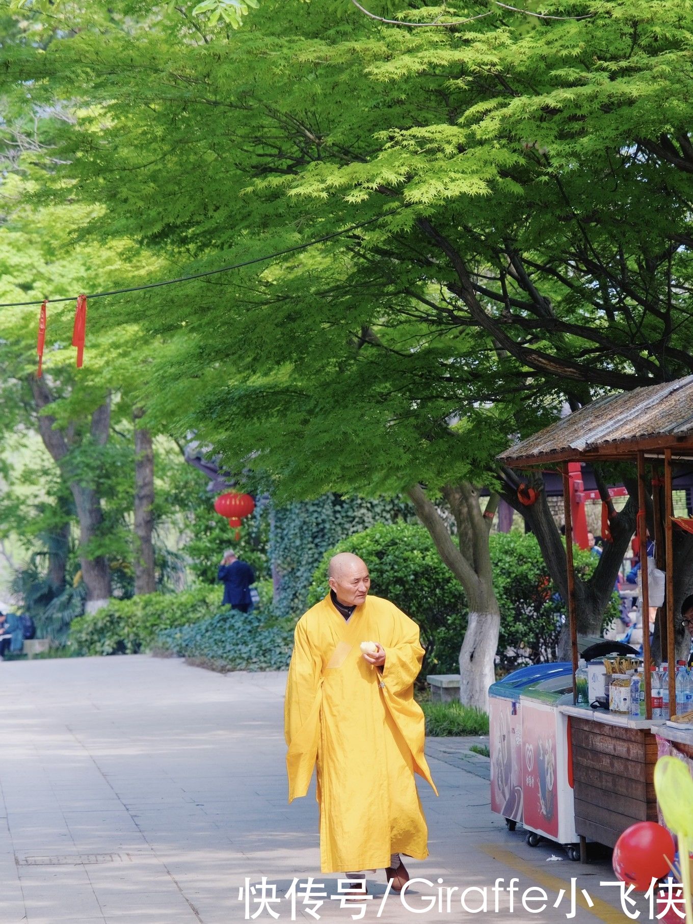 这个季节的江南，一定要来一次拥抱|江苏镇江 | a8705