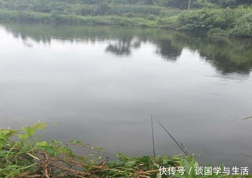 用玉米作钓|夏季在自然水域你用玉米钓到过鱼吗教你这三招用玉米野钓上鱼多