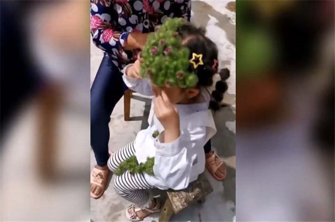 危险|女孩自制“牛蒡皇冠”,戴上时洋洋得意,摘下时哭着向奶奶求救
