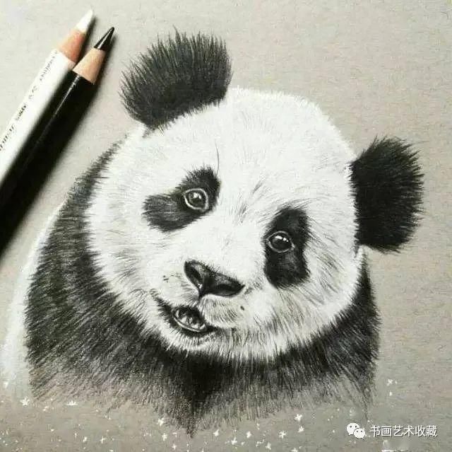  美女|一匹马画了16年！美女学渣逆袭成功，坚持下来很酷！