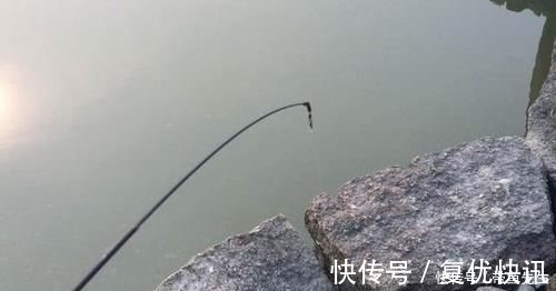 黑乎乎|河里钓了几条鱼，老大爷叫它“蟹虎鱼”，这些鱼能吃吗，求鉴定