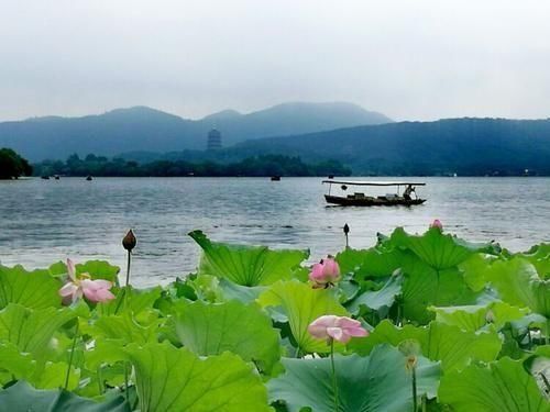 波影|王绍予诗词14首:桐叶雨疏渔唱晚，荻花风起雁啼秋