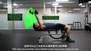 肌头|手臂太细怎么练掌握这3点，“肱三头轰炸”练出麒麟臂