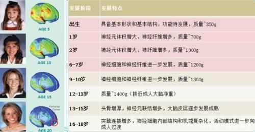 黄金期|娃的大脑发育高峰期仅有一次，父母做好这4点，拉开孩子间的差距