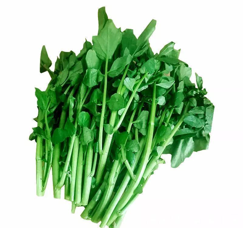 冬天用什么食材煲汤好？记得试试7种菜，营养丰富，价格不高