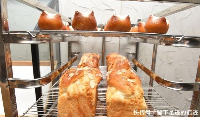 蛋糕和面包你更喜欢吃哪个,新手先学哪个容易上手,来看看吧