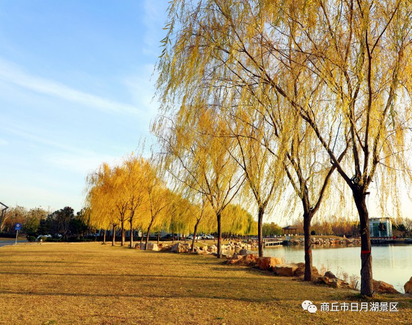 【商丘美景】商丘市日月湖景区：冬风拂面 暖阳高照