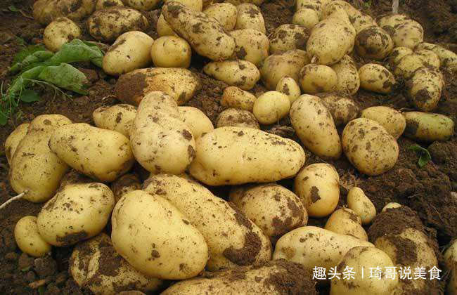 今天才知道,保存土豆这么简单,一年不发芽不变黑,学会试试吧