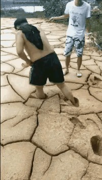 |搞笑GIF二十九期!我当时躲在窗帘后面害怕极了