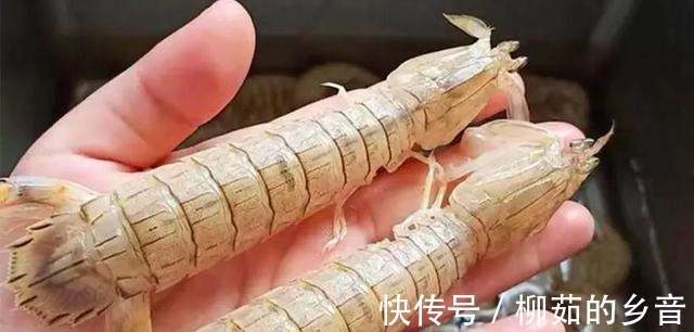 下酒菜|最硬气的下酒菜,今天试试这几种做法,小心香的让你划破嘴唇!