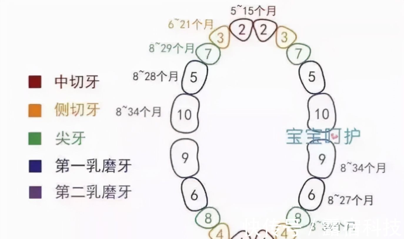 图源|这5个信号说明宝宝发育迟缓,父母警惕,错过最佳治疗时间就晚了