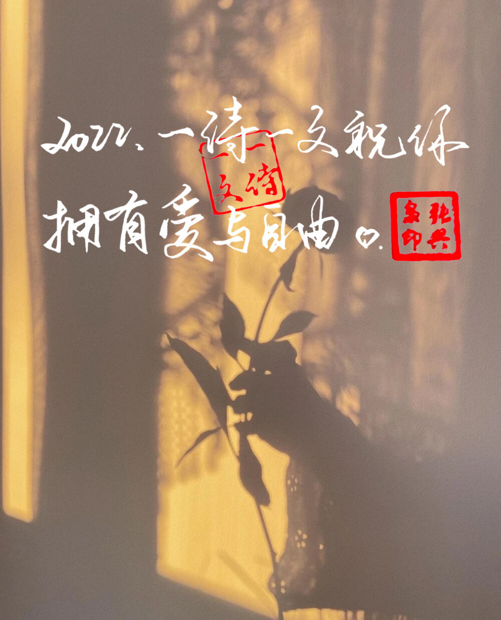 糖果罐@这场相遇真是一个奇迹,就像撒哈拉长满玫瑰,我恰好遇到你