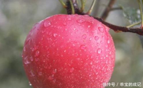 寿命|喜欢吃1种水果的人,寿命不会短,谨记“2个不”,多数人不清楚!