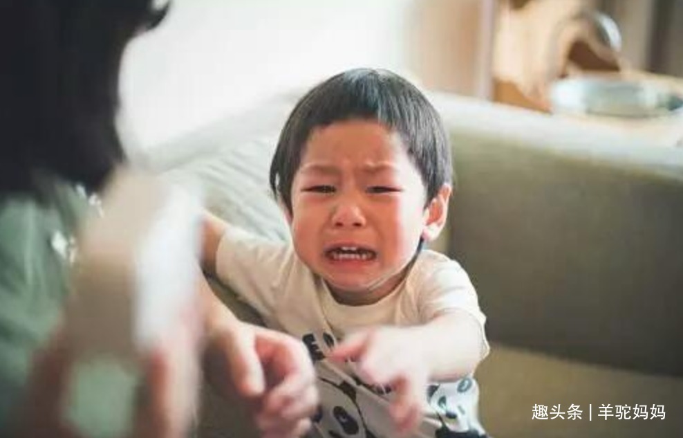 启蒙老师|有儿子的家庭,父母有些话烂在肚子里也别往外说,不然娃会没出息