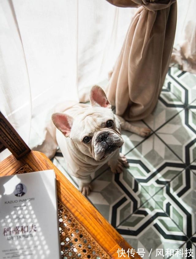 挂画|90后小姑娘的独居公寓,阳台打造成森林,一个人住也舒服