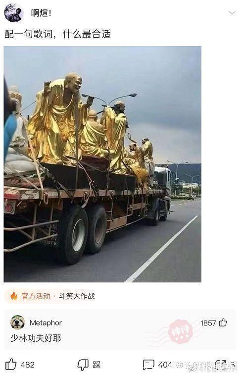 |开心一笑,爆笑图片段子:快睡觉!大晚上我上哪儿给你找公猫去