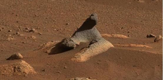火星探测车新发现：疑似拍下一只“海豹”，NASA似有隐瞒