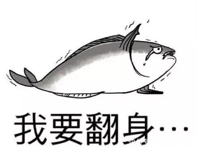 在中国“排名第一”的午鱼,是什么鱼