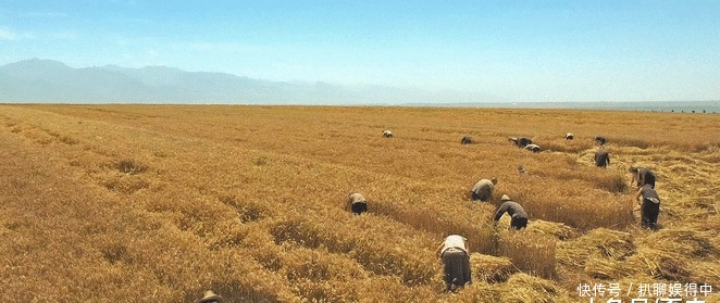 白鹿原|小说是一个民族的秘史!白鹿原的故事并不遥远
