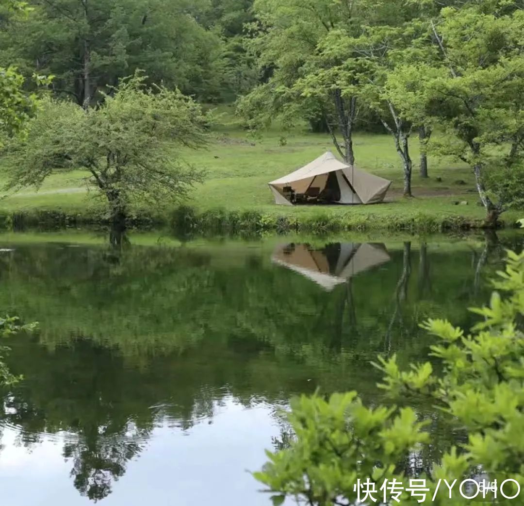 yoho 虎年最夯流行趋势？不同领域大咖仙人指路｜文末送礼