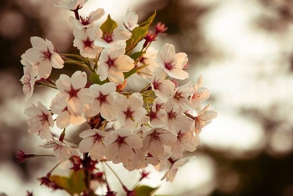 人际交往|想要孩子长大有出息,切记不要和父母关系太好,看醒无数人!