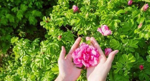 眼睛|肝功能好的人,晨起后一般有4个表现,占2个以上,恭喜肝还不错