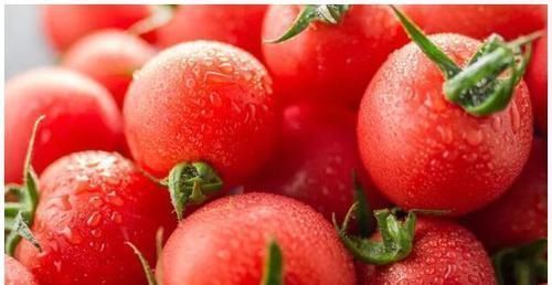 吃西紅柿有7大好處,那西紅柿是蔬菜還是水果,空腹可以吃嗎?
