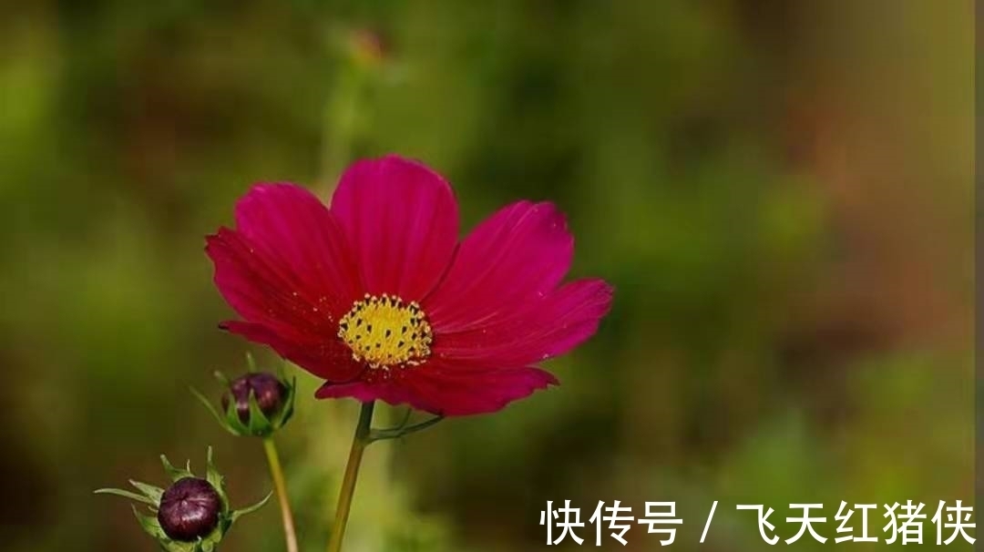 经典@王昌龄不愧是七绝圣手，信手写下一首送别诗，成为与众不同的经典