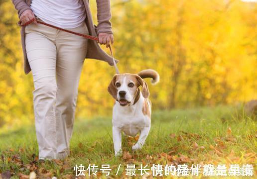 饮酒|不论男女,50岁后若能做到睡前“6不要”,身体健康更长寿